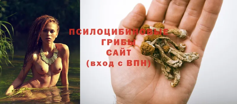 Галлюциногенные грибы Magic Shrooms  blacksprut маркетплейс  Болгар 